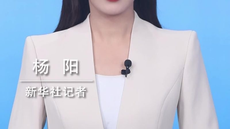 数据可视化图表类型解析：选择与运用之道